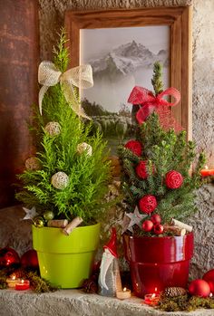 two potted plants sitting next to each other in front of a framed photo on a mantle