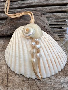 a shell with pearls on it sitting on a piece of wood