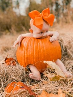 Baby Pumpkin Pictures, Halloween Baby Photos, Newborn Pumpkin, Pumpkin Photoshoot, Fall Baby Photos, Baby Halloween Pumpkin, Fall Baby Pictures, Pumpkin Patch Pictures, Photo Halloween