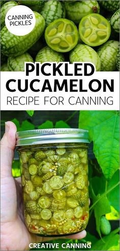 pickled cucumber recipe for canning