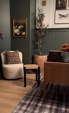 a living room filled with furniture and a potted plant on top of a table