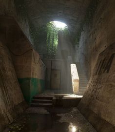 an underground tunnel with stairs and light coming from the entrance to another area that has ivy growing on it