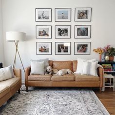 a living room with couches and pictures on the wall above them, along with a rug