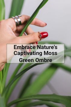 a woman's hand holding a green plant with the caption embrace nature's captivating moss green ombre