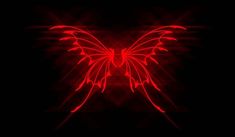 a red butterfly on a black background