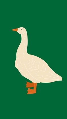 a white duck standing on top of a green surface with an orange beak and legs