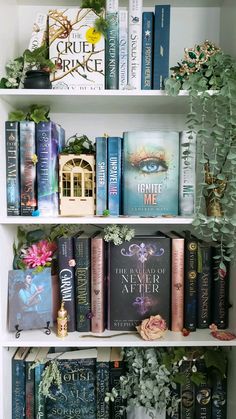 the books are lined up on the white bookcases with plants in vases