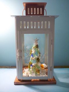 a small white christmas tree in a glass box with shells and seashells inside