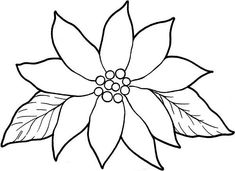 a poinsettia flower with leaves and berries on the petals is outlined in black and white