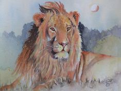 a watercolor painting of a lion resting on the ground with its head turned to the side