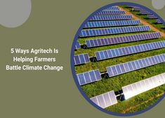 Discover how technology is helping farmers combat climate change while ensuring sustainable farming practices. Let’s innovate for a greener future! https://daxcooke.net/5-ways-agritech-is-helping-farmers-battle-climate-change/ #AgriTech #ClimateChange #SustainableFarming #DaxCooke 5 Ways, Farmer