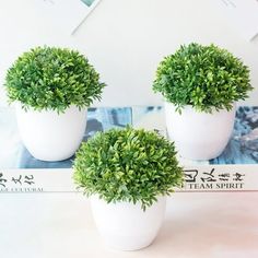 three small potted plants sitting on top of a white table next to a book