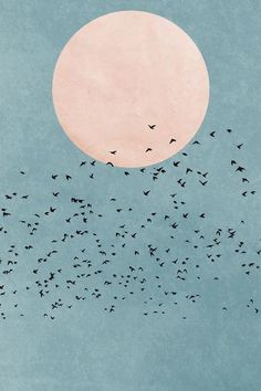 a flock of birds flying in front of the sun with a blue sky behind them