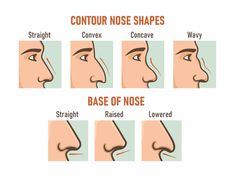 different nose shapes and how to use them