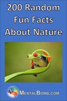 We've created this list of 200 random fun facts about nature for your enjoyment and for you to share with friends! #FunFacts Fun Facts About Plants, Animal Fun Facts, Random Fun Facts, Facts About Nature, Facts About Plants, Fun Facts For Kids, Fun Facts About Animals, Did You Know Facts, About Nature