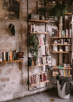 a bookshelf filled with lots of books next to a wall mounted planter