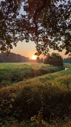 the sun is setting over an open field with trees and grass in front of it