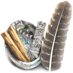 an image of a feather and other items