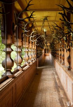 the long hallway is lined with deer heads