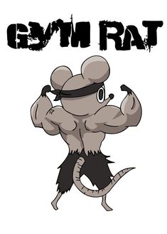 an image of a cartoon rat with the words gym rat on it