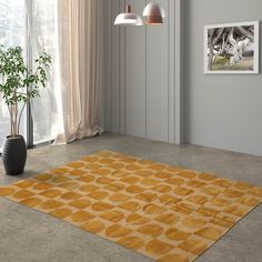 a living room with a large rug on the floor next to a potted plant