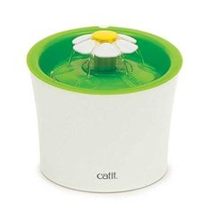 a white and green cup with a flower in it