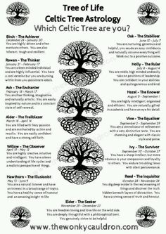 the tree of life is shown in black and white with an image of four trees on it