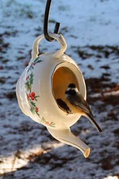 a bird feeder hanging from the side of a tree branch in front of snow covered ground