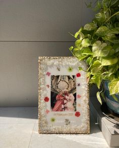 a photo frame sitting next to a potted plant