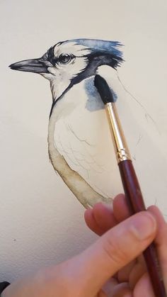 a drawing of a bird with a pencil in it's hand