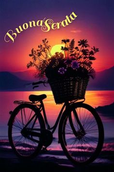 a bicycle with flowers in the basket is parked on the beach near the water at sunset