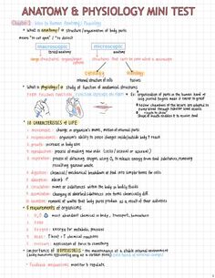 the anatomy and physiollogy mini test is shown in this handwritten diagram