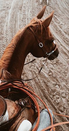 a man riding on the back of a brown horse