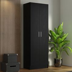 a tall black cabinet next to a potted plant