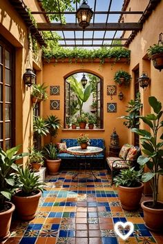 an outdoor patio with potted plants and windows on the wall, surrounded by tiled flooring