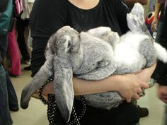 a woman holding a stuffed rabbit in her arms