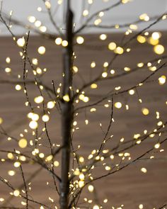 a tree with lights on it in the middle of a wooden floored area, next to a lamp post