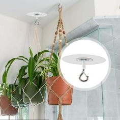 three potted plants hanging from hooks in a bathroom