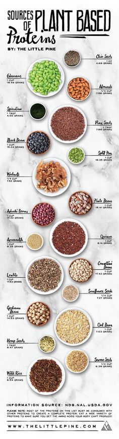 Say what?! There's protein in nuts, seeds, beans and grains? You betcha! And we've got a whole list of sources to share with you! Proteins Chart, Natural Meals, Plant Based Foods, Plant Based Protein Sources, Plant Based Eating, Wild Rice, Diet Keto, Vegan Foods