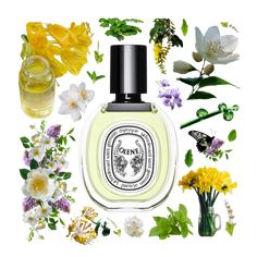 Olene Eau de Toilette by Diptyque is a Floral fragrance for women. Olene Eau de Toilette was launched in 1988. The nose behind this fragrance is Serge Kalouguine. Top notes are Narcissus and Honeysuckle; middle notes are Jasmine and Wisteria; base notes are White Flowers and Green Notes.
#perfume #fragrance #fragrancelover Parfum Givenchy, Givenchy Irresistible, Sunny Meadow, Floral Perfume, Green Notes, Earthy Fragrance