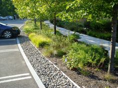 a car is parked in the parking lot next to some trees and plants on the side of the road