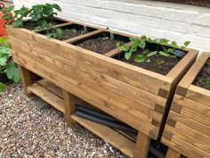 a wooden planter filled with lots of plants