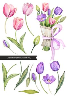 watercolor tulips and other flowers with ribbons