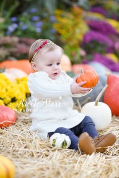 toddler poses with pumpkins in Saratoga Spa State Park during family photos with Albany NY family photographer Nicole Starr Photography #NicoleStarrPhotography #FallFamilyPhotos #FamilyPhotos #WhatToWearFallFamilyPhotos Toddler Photography Ideas, Toddler Poses, Fall Family Portraits, Fall Portraits, Pumpkin Display, Waiting For Baby, Baby Poses, Fruit Pizza