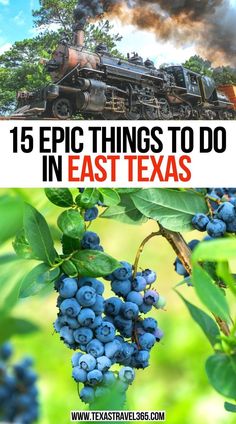 15 Epic Things To Do In East Texas Texas Vacation Spots, Texas Getaways, Texas Vacation, Explore Texas, Texas Things, Visit Texas, Texas Vacations, Texas Roadtrip, Pretty Views