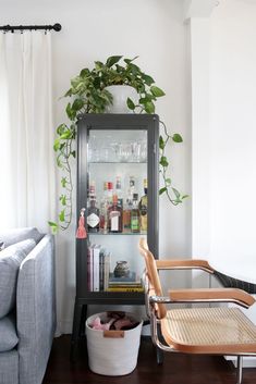 a living room filled with furniture and a potted plant on top of a shelf