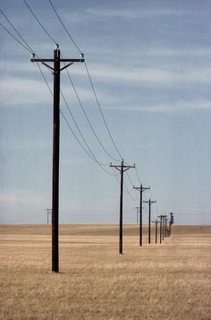 an empty field with power lines and telephone poles in the foreground, against a blue sky