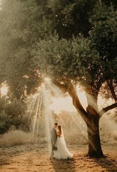 a bride and groom standing under a tree in the sunbeams at their wedding