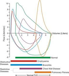 the graph shows that there are many different types of diseases in humans and animals