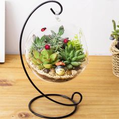 there is a glass ball with succulents in it on the table next to some plants